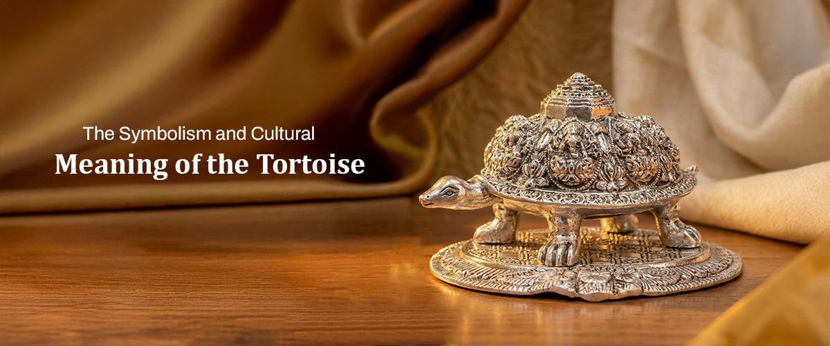 Tortoise Symbolism and Cultural Significance in Indian Tradition