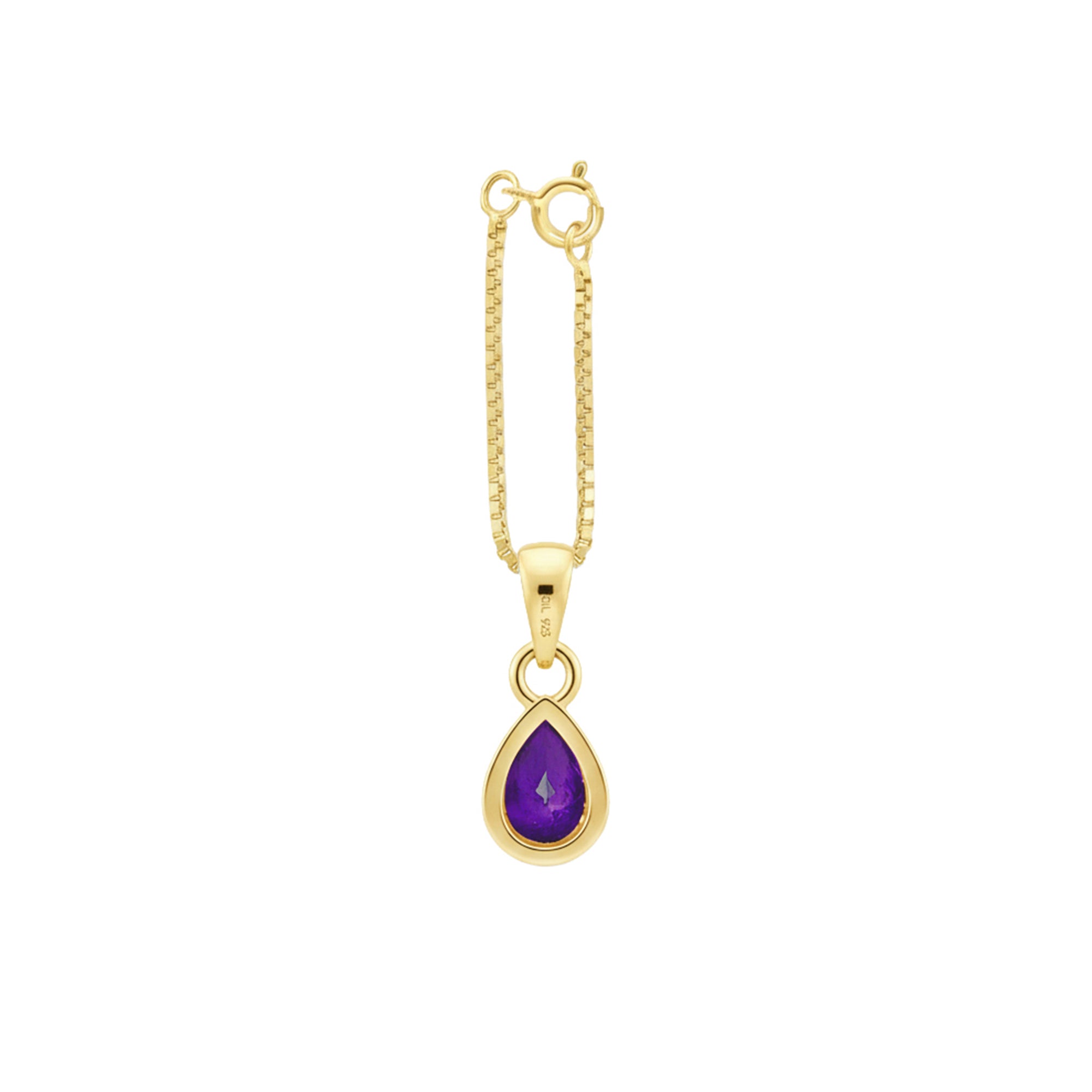 February Birthstone Charm