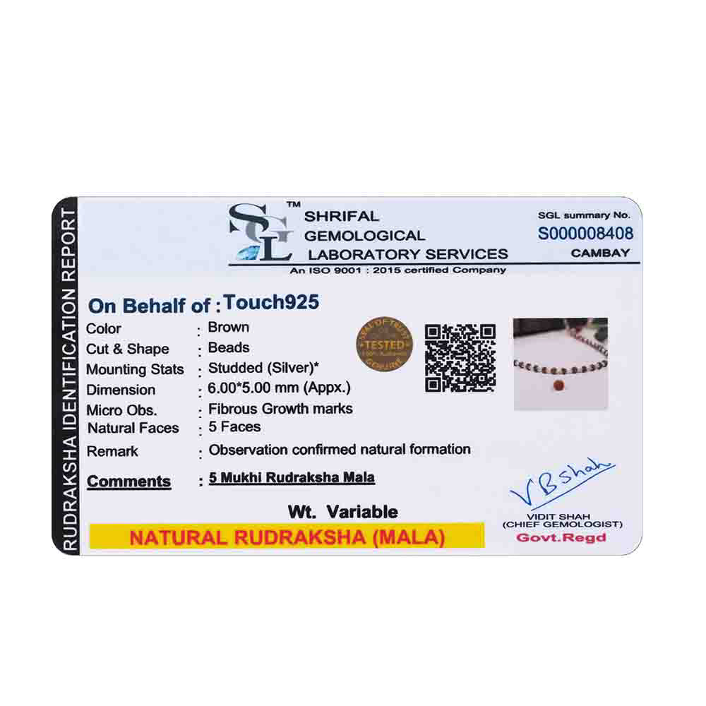Harmony Rudraksha Silver Chain