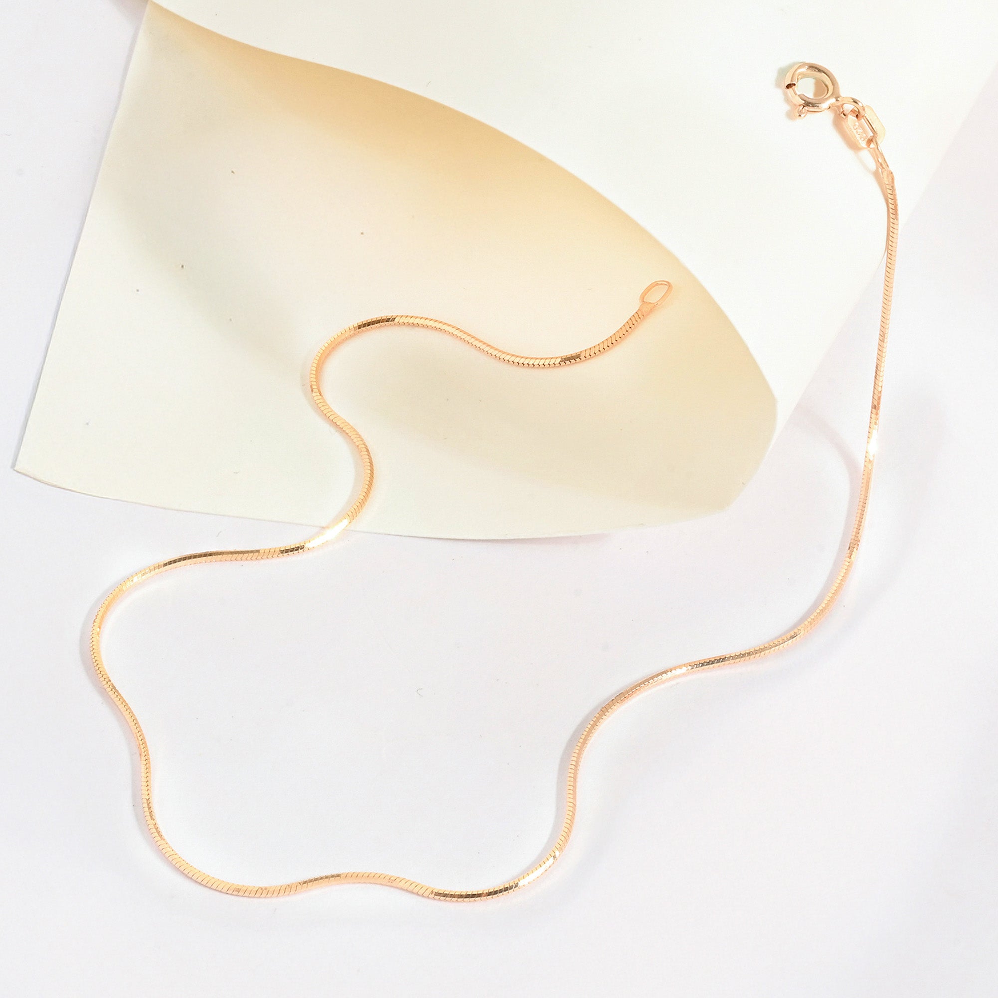 Gleam Line Silver Anklet