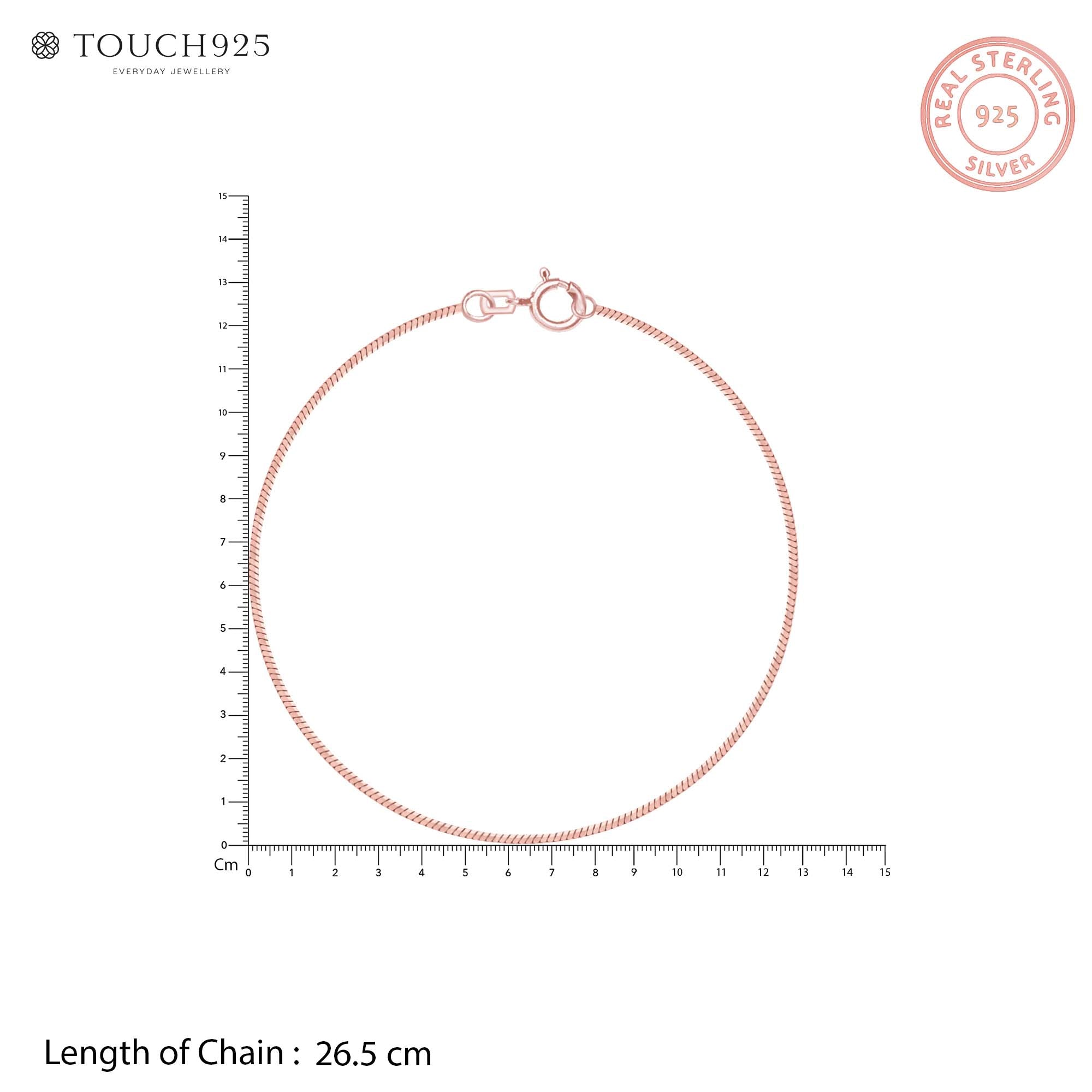 Gleam Line Silver Anklet