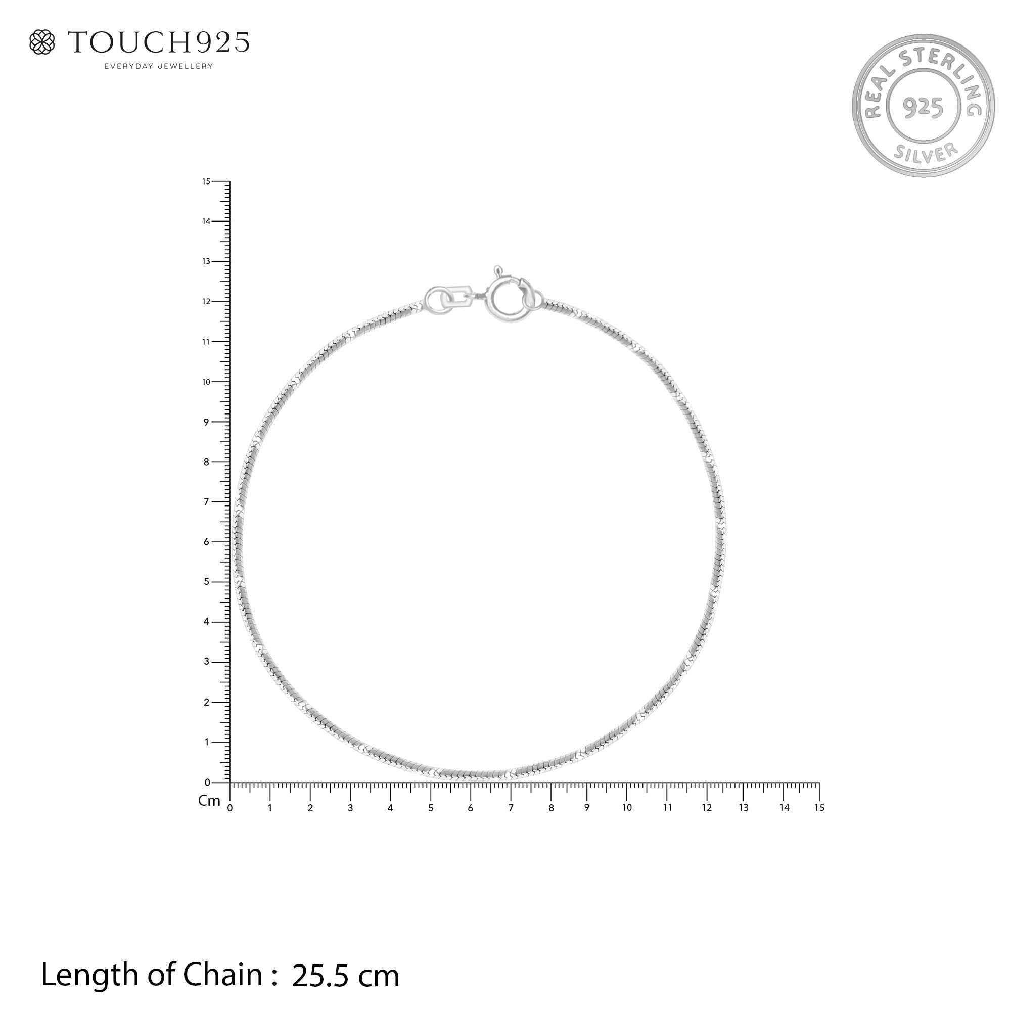 Shimmer Line Silver Anklet