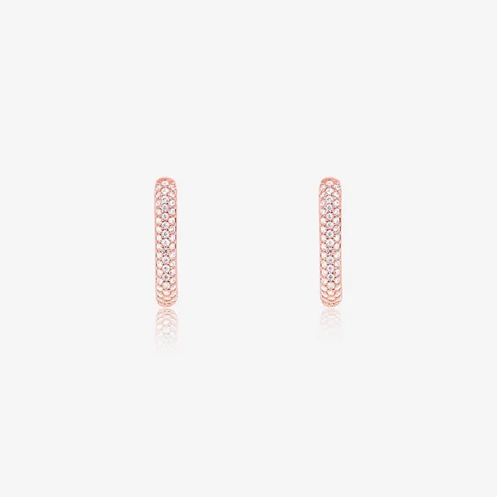 Crystal Rectangular Radiance Earrings - Touch925