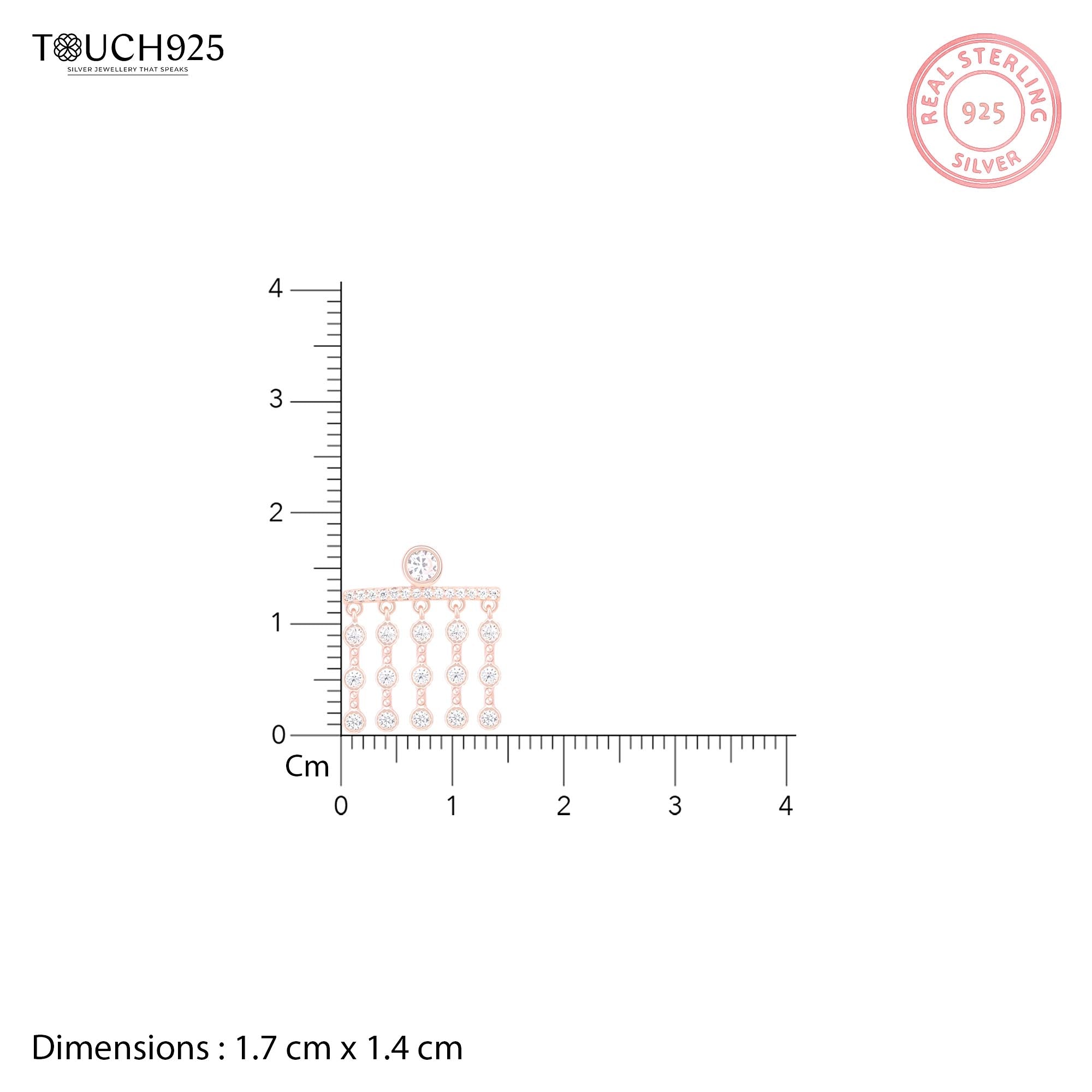 Elegant Drop Dangler