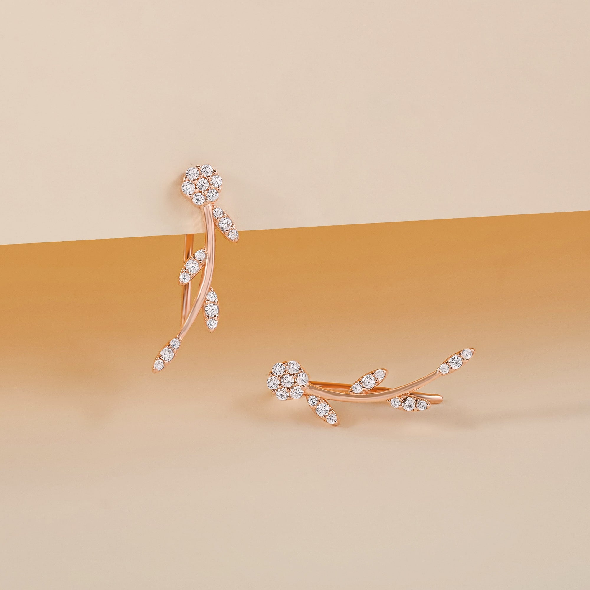 silver earrings