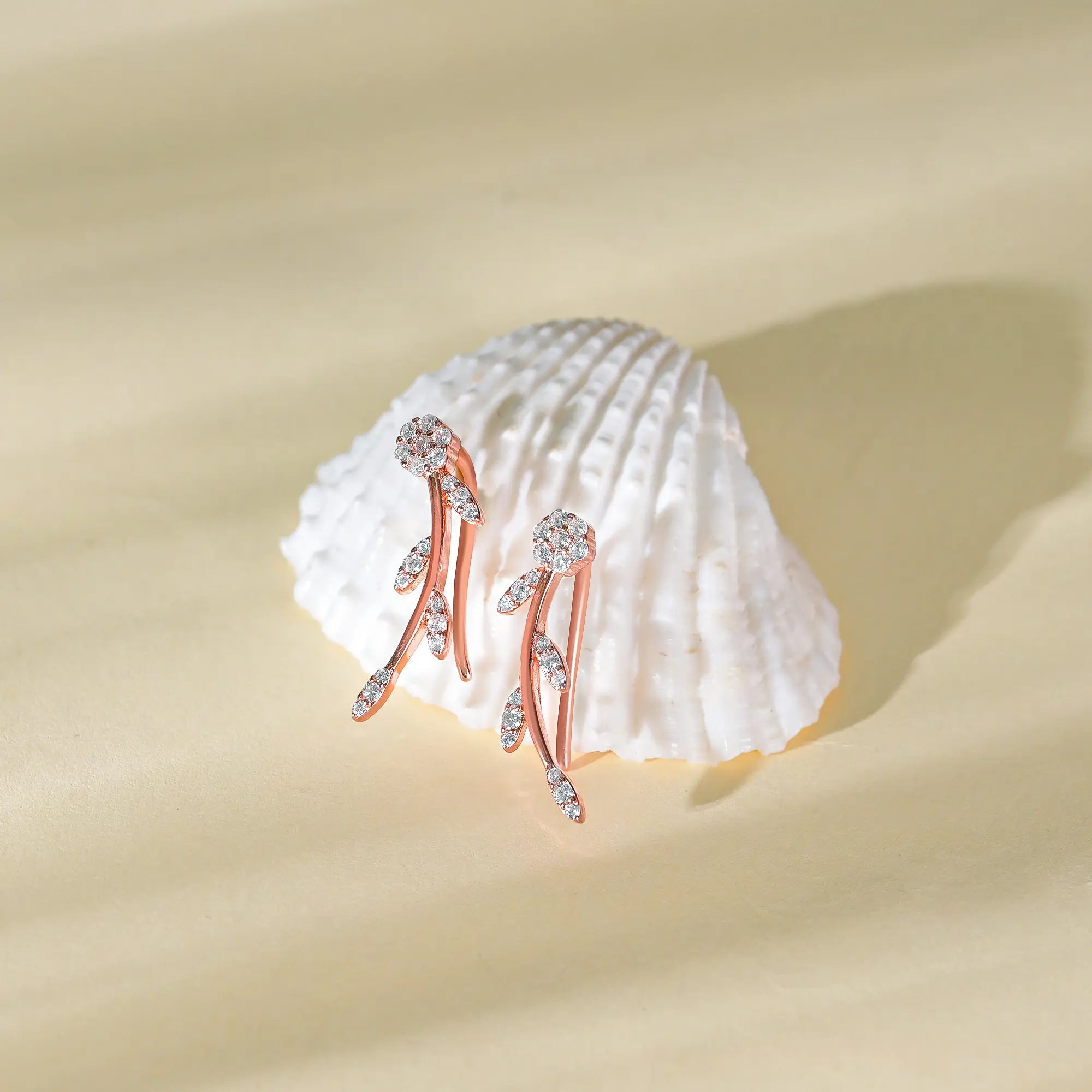 silver earrings