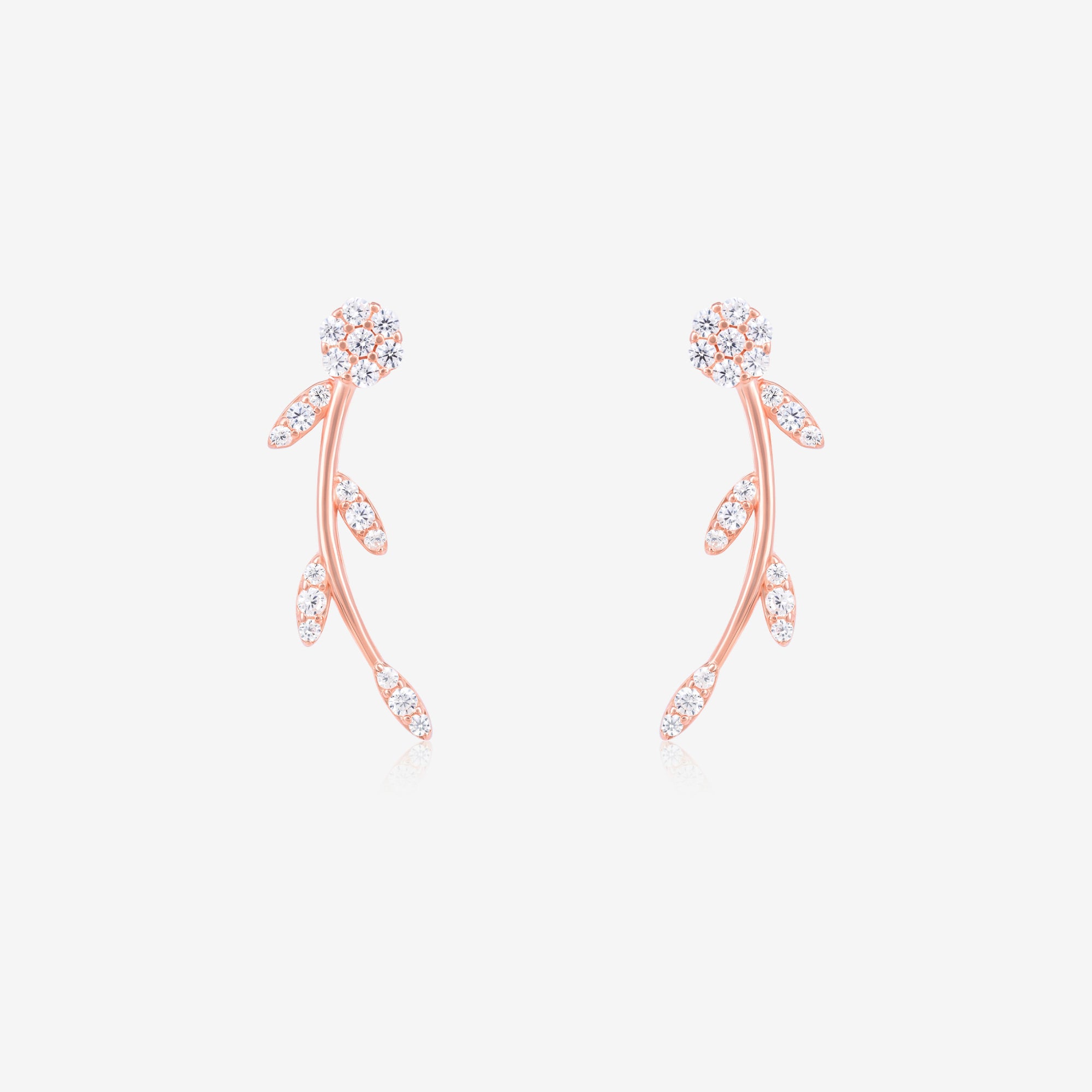 silver earrings