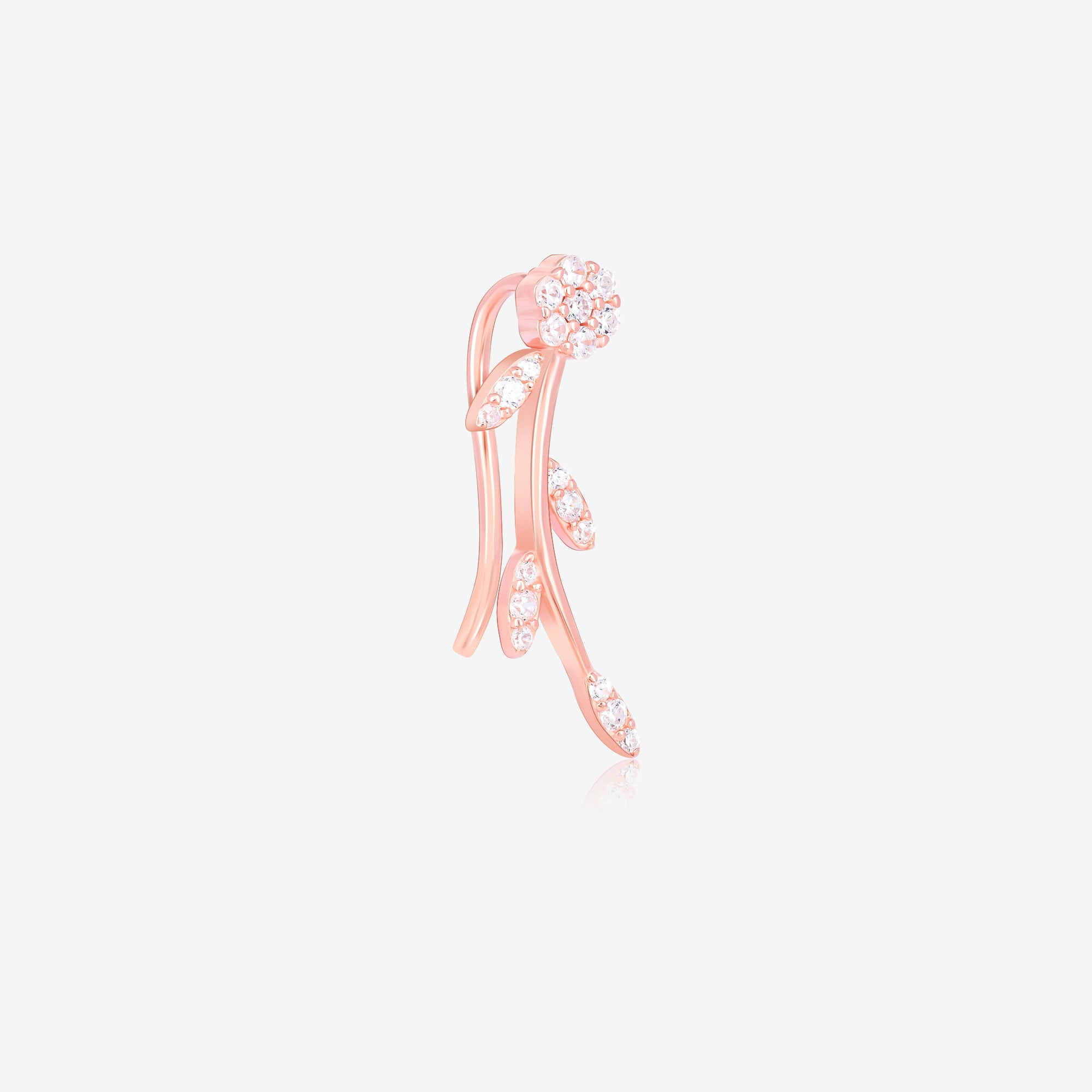 silver earrings