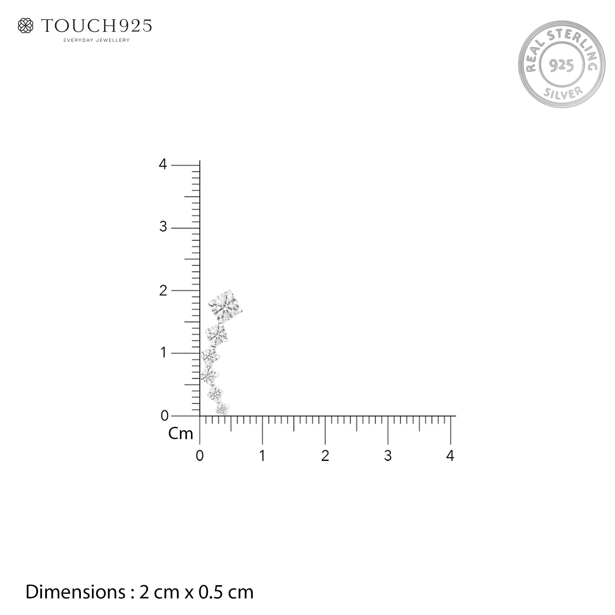 MoonArc Silver Earrings