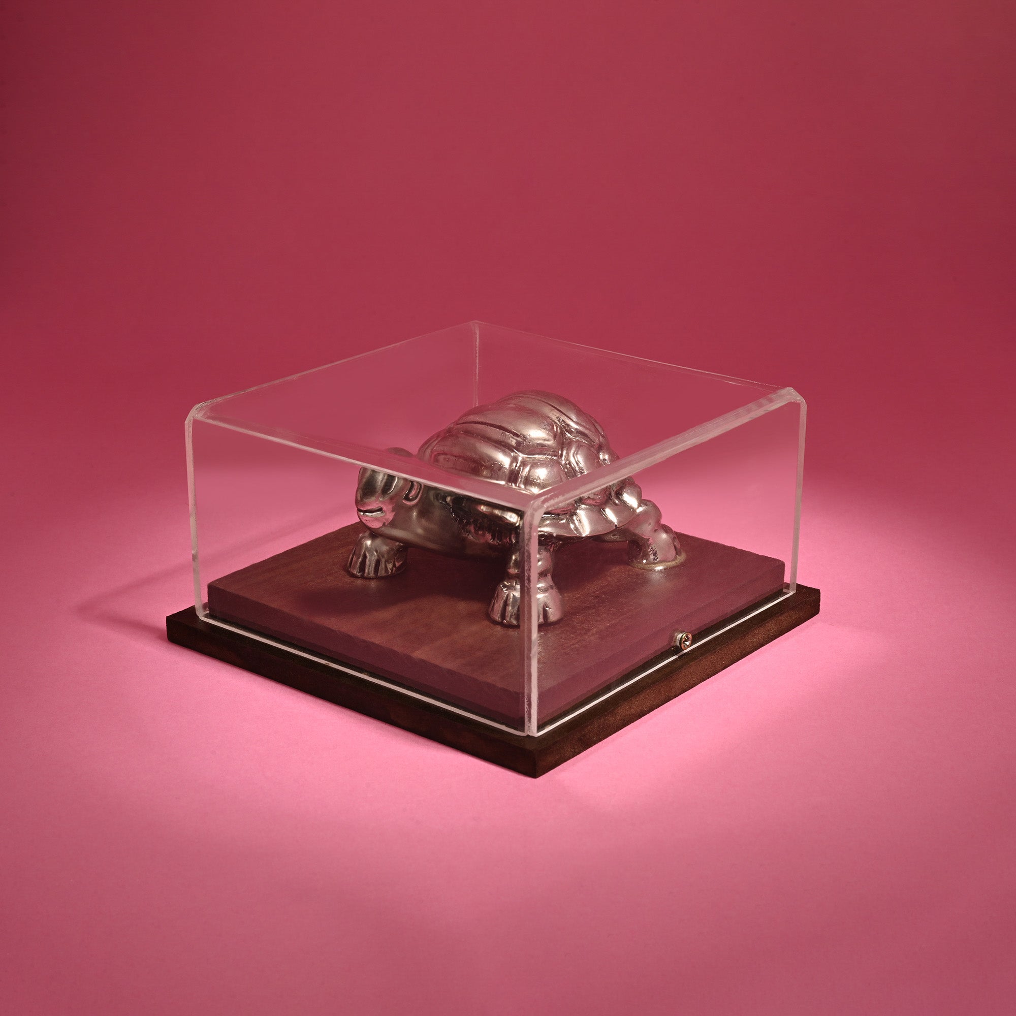 999 Silver Tortoise Idol